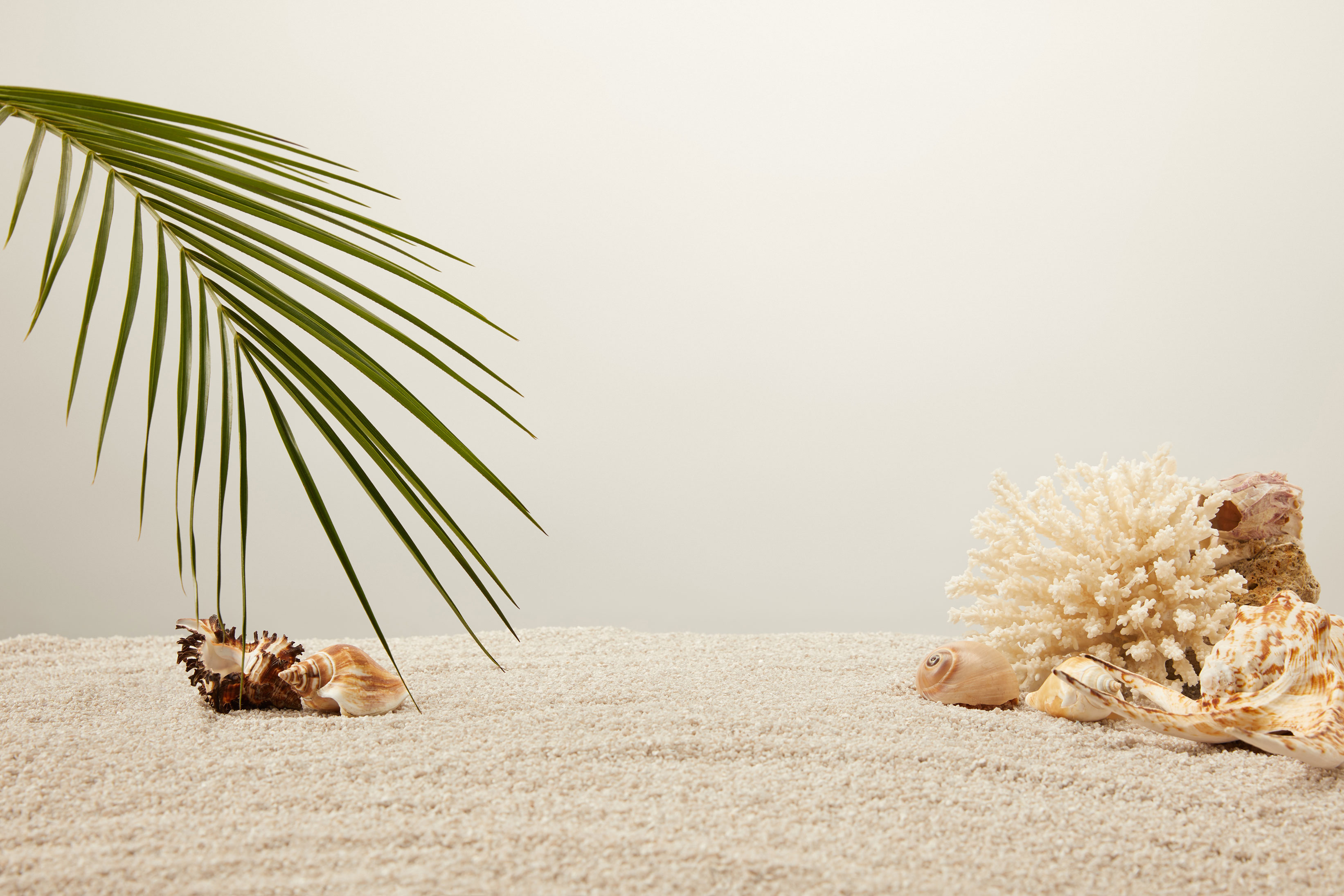 Schedule Carpet Cleaning